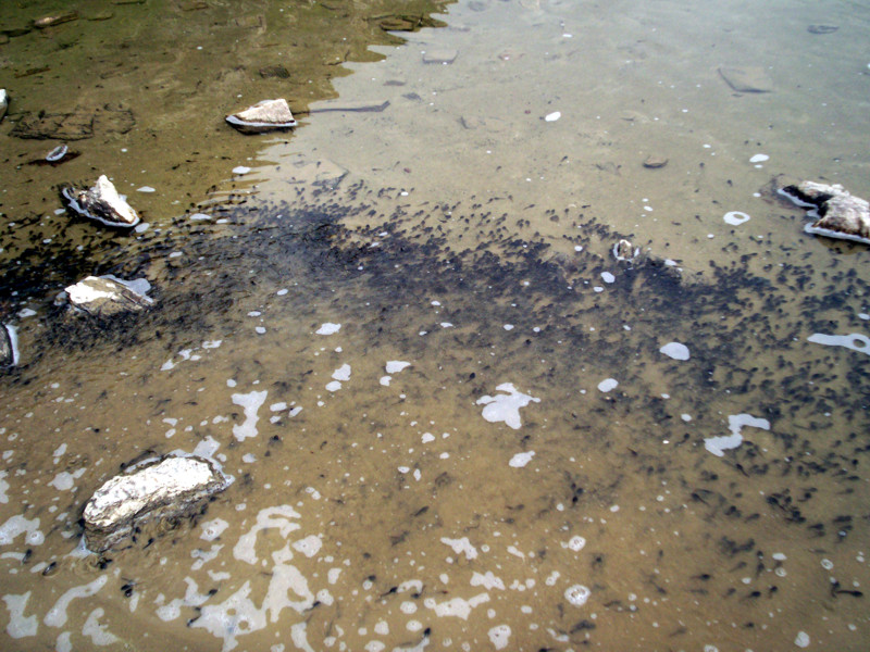 Lago e bivacco Tzan (o Cian)